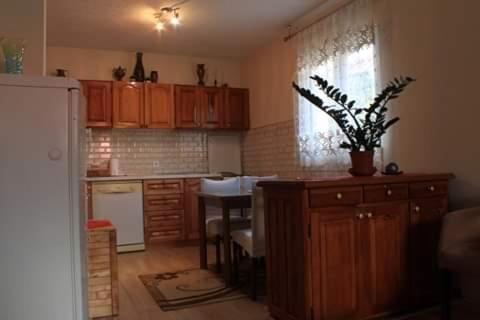 Apartment Mountain Dream Žabljak Dış mekan fotoğraf