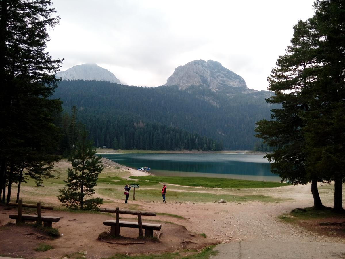 Apartment Mountain Dream Žabljak Dış mekan fotoğraf