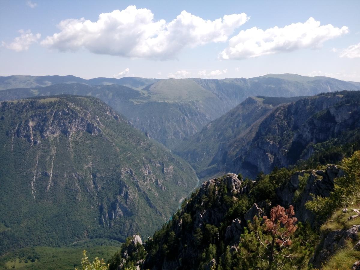 Apartment Mountain Dream Žabljak Dış mekan fotoğraf
